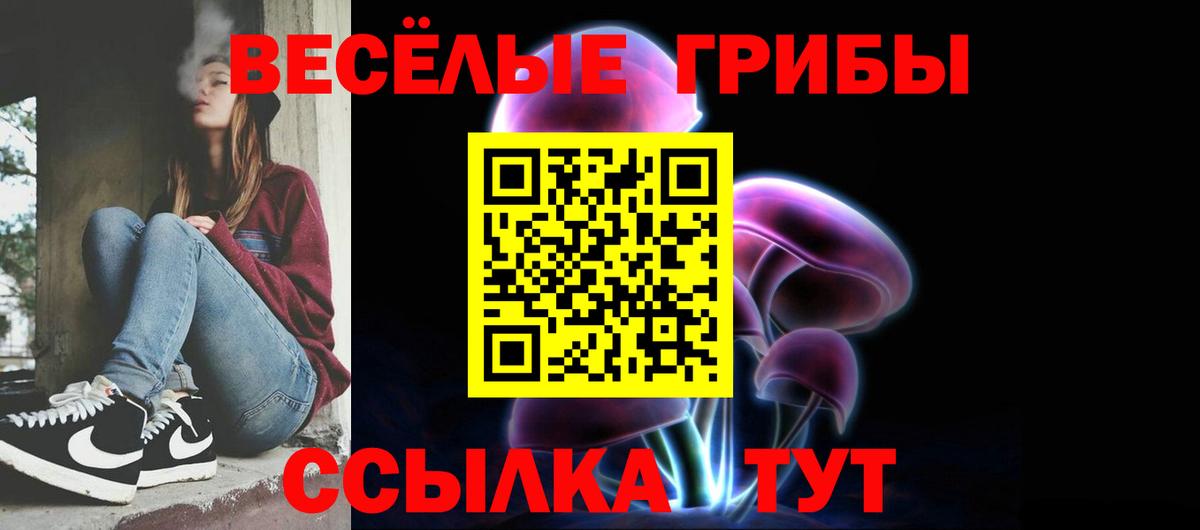 как найти   Вход с VPN  Ангарск  Псилоцибиновые грибы Psilocybe 